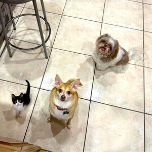 Meet your Posher, Adriana